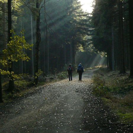 Zimmervermietung-Heide-Fiege Hartmannsdorf bei Chemnitz Buitenkant foto
