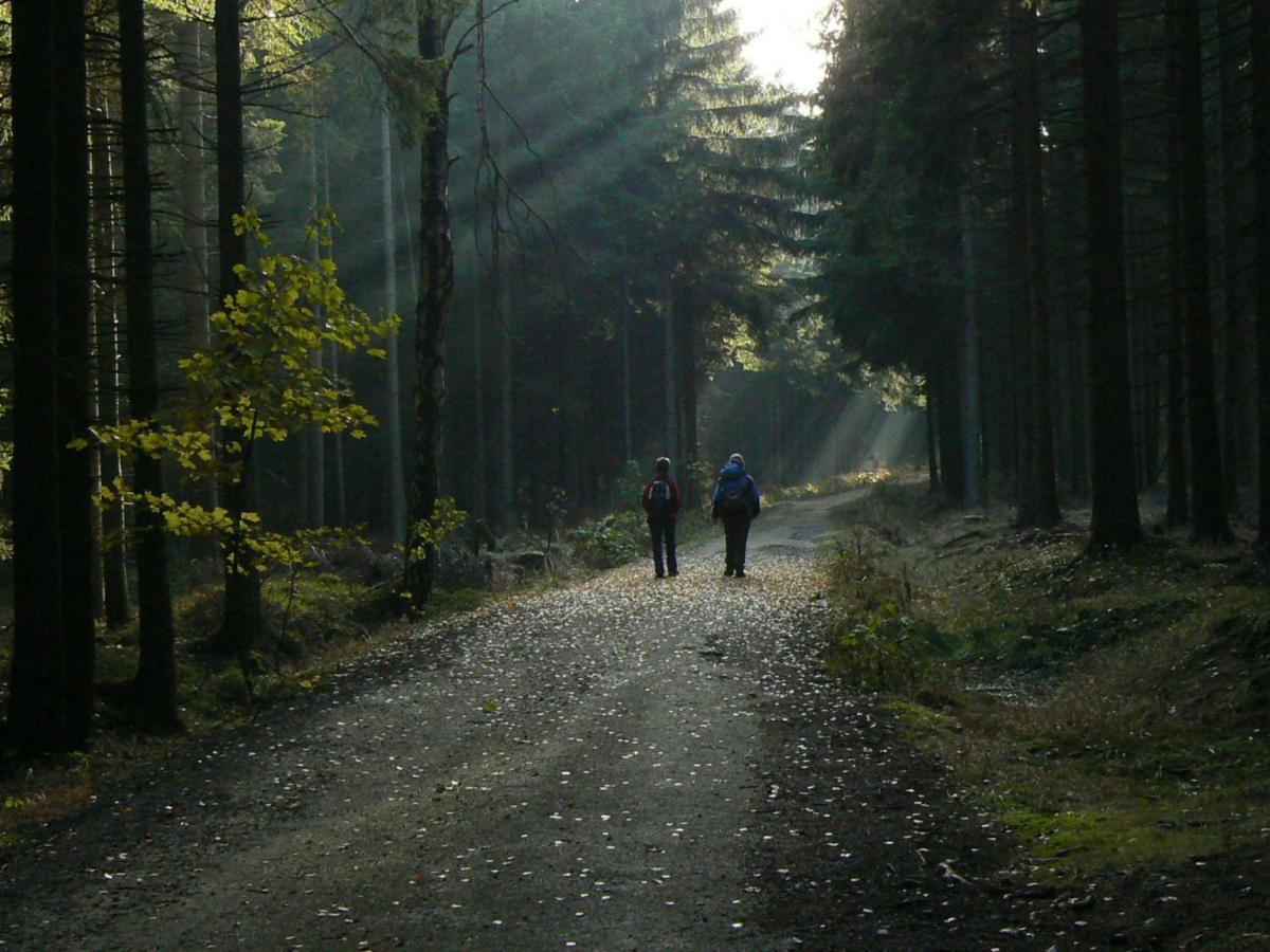 Zimmervermietung-Heide-Fiege Hartmannsdorf bei Chemnitz Buitenkant foto